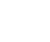 Arrow S Cattle